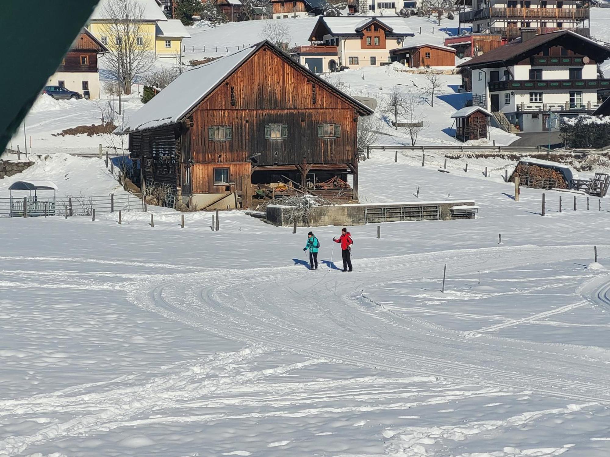 Apartmenthaus Edelweiss In Gosau Exterior photo