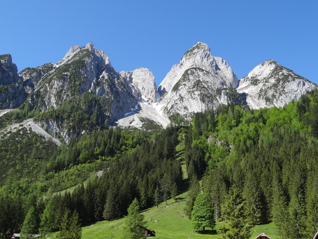 Apartmenthaus Edelweiss In Gosau Room photo